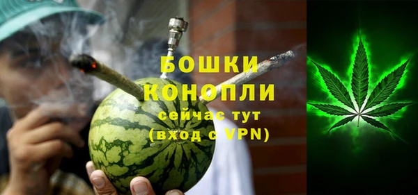 молекула духа Сосновый Бор