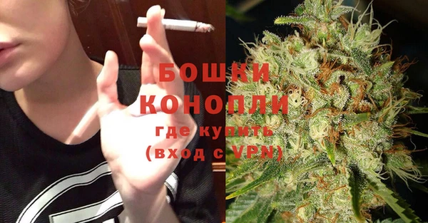 молекула духа Сосновый Бор