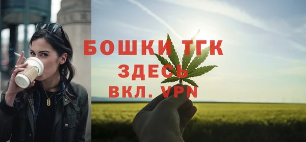 молекула духа Сосновый Бор