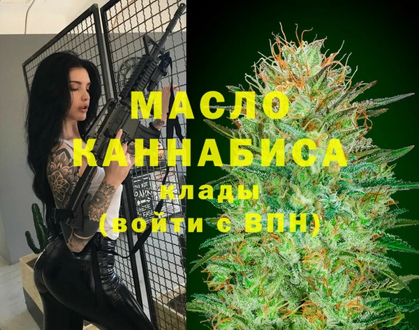 молекула духа Сосновый Бор