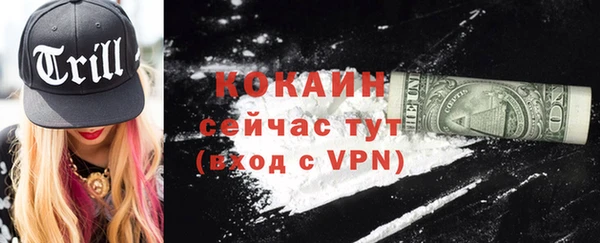 молекула духа Сосновый Бор