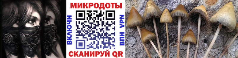 Псилоцибиновые грибы Cubensis  купить наркотики сайты  Мостовской 